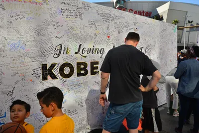 DSC_7159 (Large).JPG